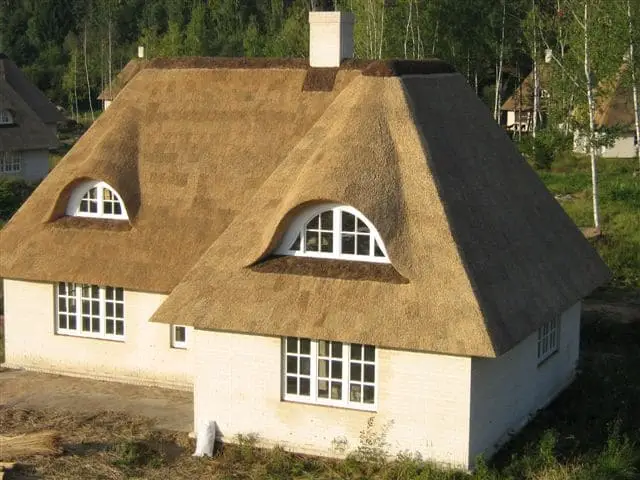 кровля из тростника